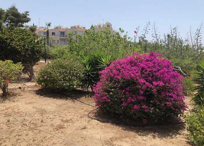 Kings Palace - Modern, Sunny 2 Bed Ground Floor With Sea Views Lägenhet *