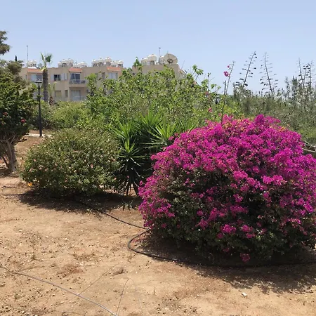 Kings Palace - Modern, Sunny 2 Bed Ground Floor With Sea Views Apartment *